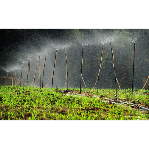 Controlled-Release Nitrogen Fertilizer Ammonium Bicarbonate