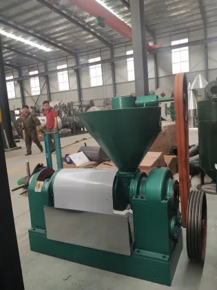 Hongyang Brand Sunflower Seeds Peanut Safflower Press Oil Making Machine YZYX95
