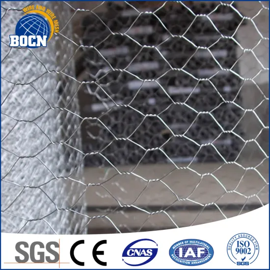 Anping hexagonal mesh/hexagonal chicken wire mesh