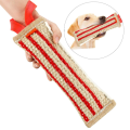 Interactive Dog Chew Toy