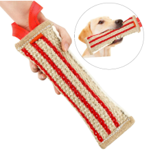 Interactive Dog Chew Toy