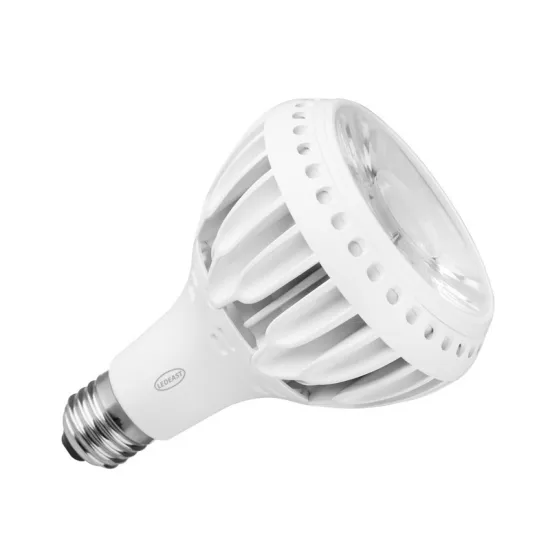 LEDEAST XA21-30 30W E27 LED Bulb