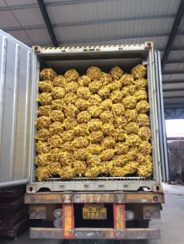 Fresh Ginger With Best Price And Quality