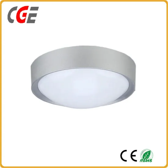 LED Light LED Panel Lamps China Factory Price Ceiling Lamp Energy Saving LED Ceiling Light Indoor Use LED Lamps