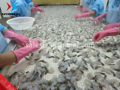 BLACK TIGER SHRIMP - FROZEN PENAEUS