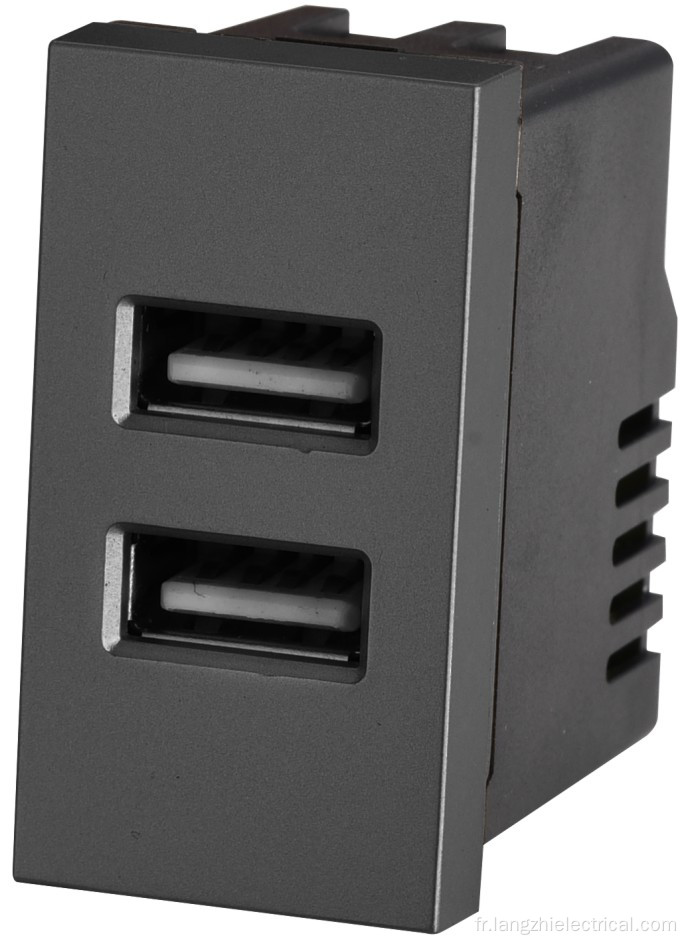 Prise USB à 2 ports 2.1a 5V (110-240V ~)