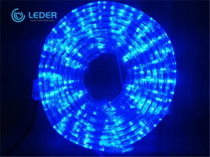 LEDER Smart Indoor LED Strip Light