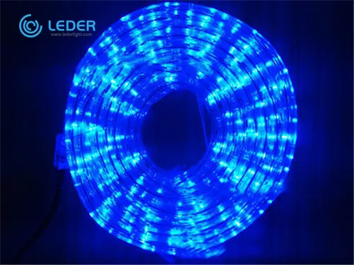 LEDER Smart Indoor LED Strip Light