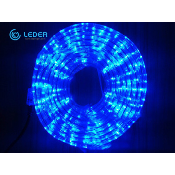 Lampu Strip LED Dalam Ruangan Cerdas LEDER