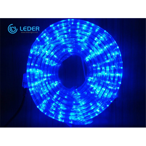 LEDER Akıllı İç Mekan LED Şerit Işığı