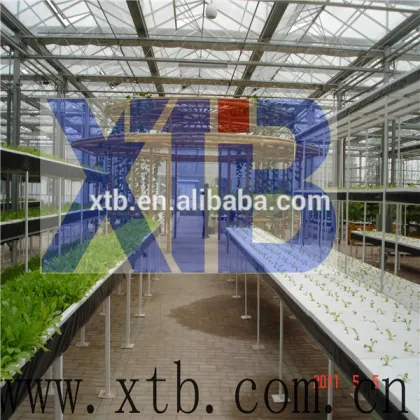 Flower and Vegetable Growing Greenhouse