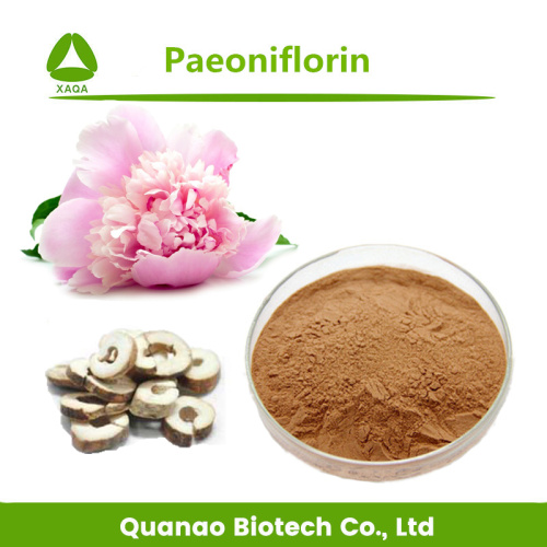 Chinese pioenwortel extract paeoniflorin 50% poeder