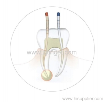Dental Gutta Percha Points 