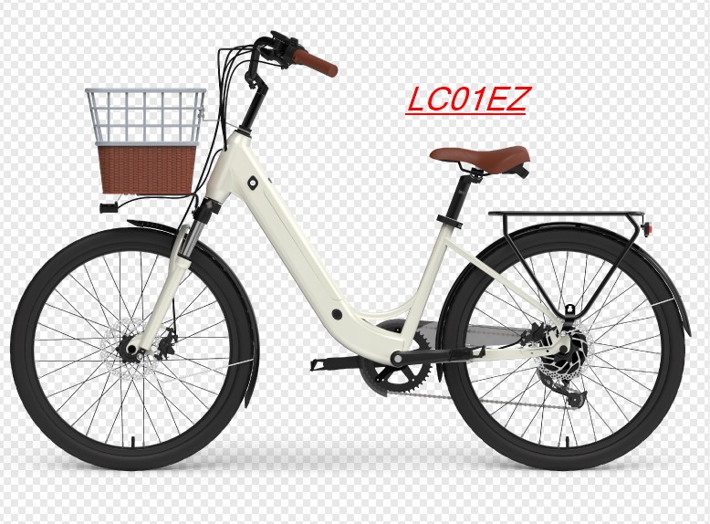 Fashion Lady E Bike On Sale