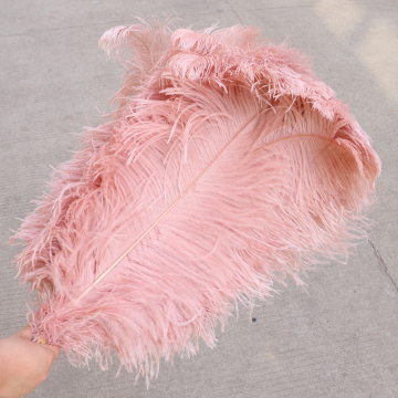 Wholesale Natural Plumes Colored Ostrich Feathers: Perfect for Carnival Costumes, Weddings, and Home Parties