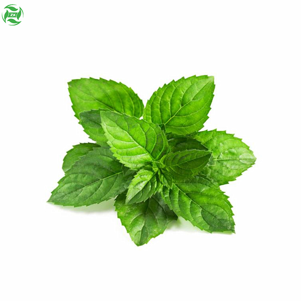 Minyak Alami Minyak Esensial Peppermint Untuk Kulit, Aromaterapi