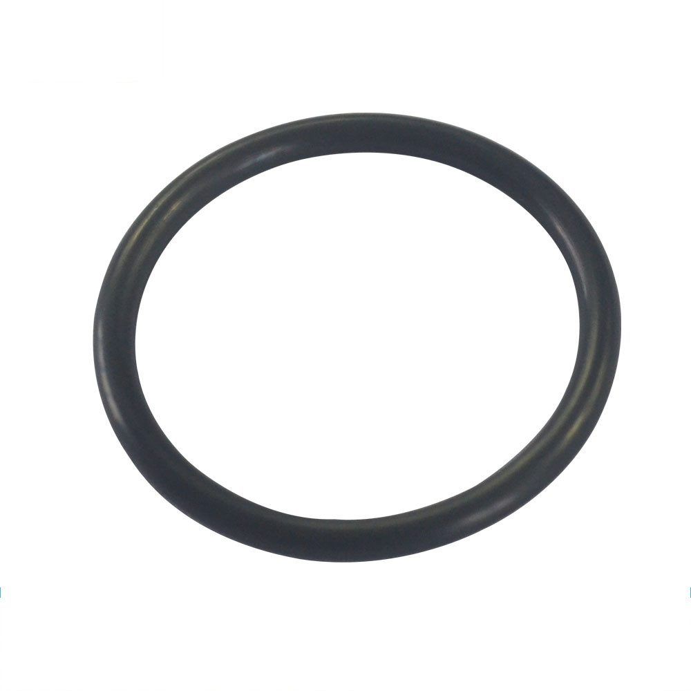 N8500019-O-ring1