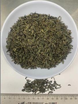 100% Natural High Quality Green Tea