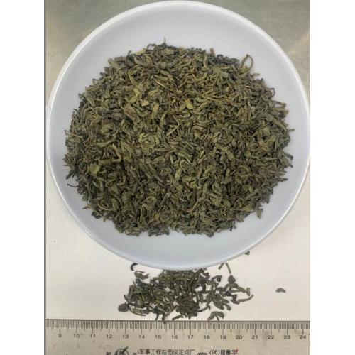 Factory Supply 41022 High Quality Green Tea