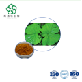 Rich Alkaloid Lotus Leaf Extract for Weight Management
