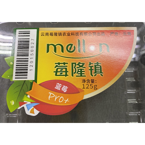 High Quality Barcode/ Serial Number Label Sticker