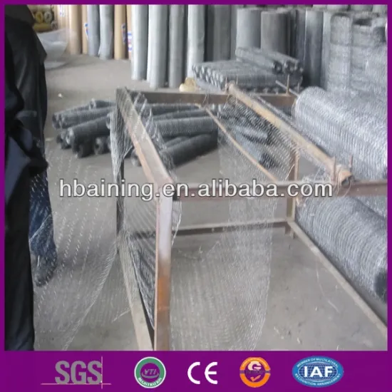 Chicken coop wire mesh/double twisted hexagonal wire mesh/triple twist hexagonal wire mesh