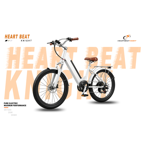 Σειρά H1 Electric City Bike