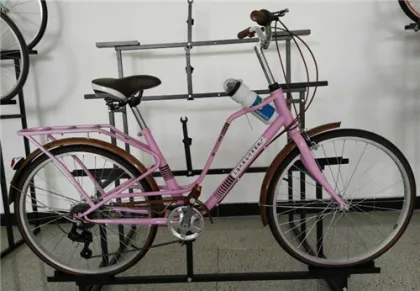 28'' Steel City Bike