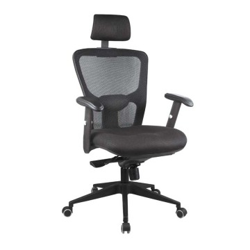 Ergo Mesh Executive Office Chair