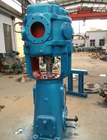 WLW Vertical Oilless Vacuum Pump