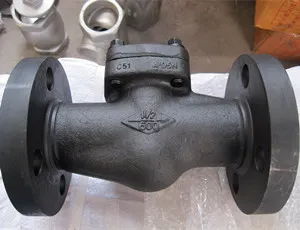 Integral Check Valve, A105N, 600 LB, 1 IN, RF