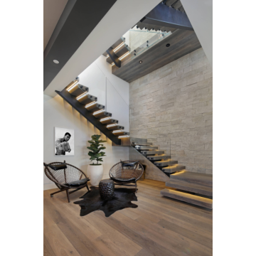 MS2025 سلم ذو شعاع مستقيم بتصميم حديث ومعاصر