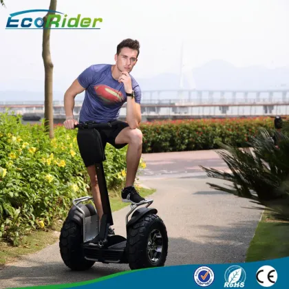 China OEM Newest Two Wheel Wolf Foldable Electric Scooter