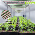 LED ECO Speed ​​Grow Light