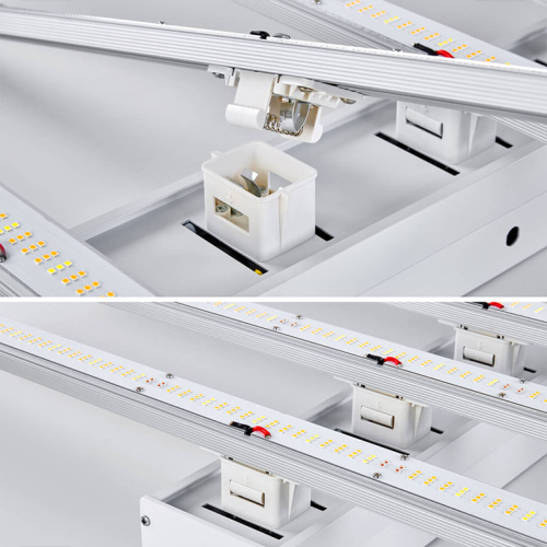 Thailand Stock Led Grow Light For Indoor Plant