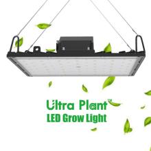 600W معدات الزراعة العمودية LED تنمو ضوء