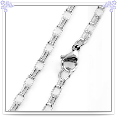 Fashion Accessories Stainless Steel Chain (HR70)