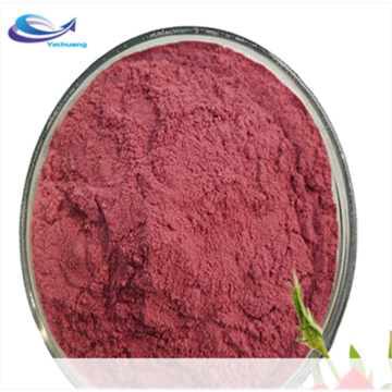 100% Natural Brazilian Spray Freeze Dried Acai Berry