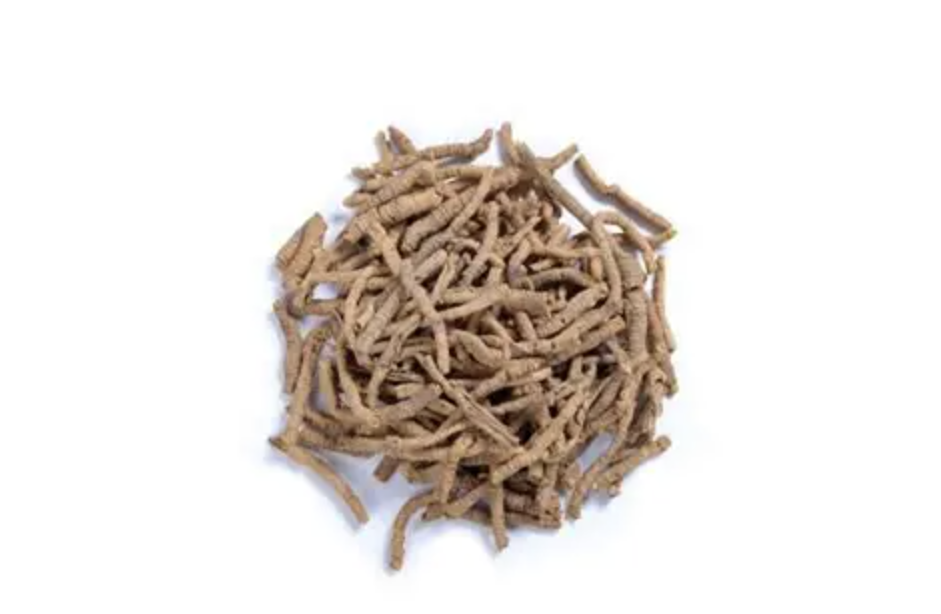 Polygala Tenuifolia Extract