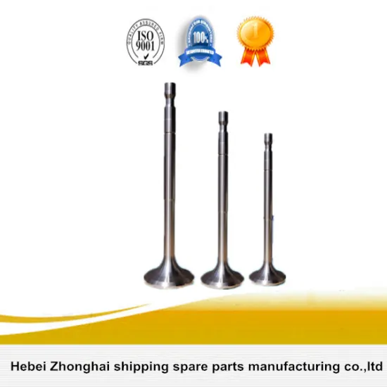 Ship Marine Engine Valve Parts for SKL 6CHRPN36/45