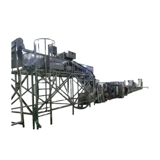 Hotsell Industrial Raisin Washing and Drying Machinery