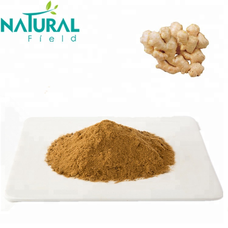 pharmaceutical grade water souble ginger extract