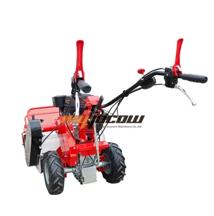Wholesale Gas Powered Lawn Mowers and Flail Mowers