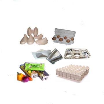 Auxiliary pulp tray molding Equipment