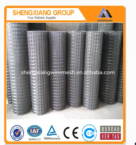 High Quality Welded Wire Mesh/Galvanized Welded Wire Mesh Cheap (factory)