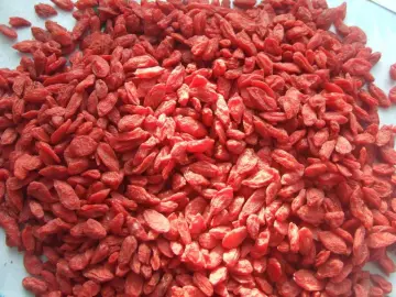 Conventional wolfberry/goji berry fruit with low sugar