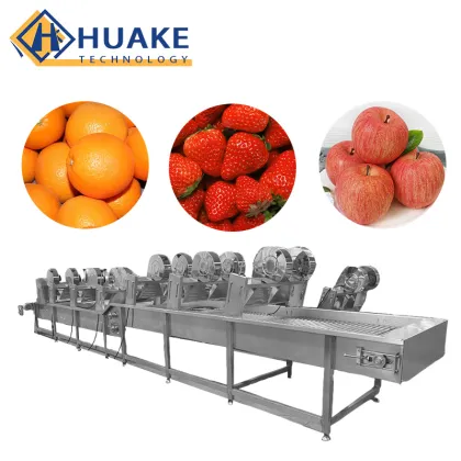 Vegetable and Fruit Washing and Drying Machine