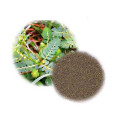Flatstem Milkvetch Seed Extract /Complanatus extract