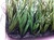 Soccer game on 60mm artificial grass