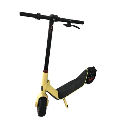 Electric Widewheel Off Road Scooter